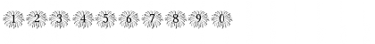 Fireworks_Mono Regular Font
