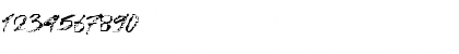 Free License Regular Font Free License Regular Font