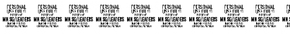 Leaders PERSONAL USE ONLY Regular Font