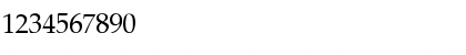 Palamino Regular Font Palamino Regular Font