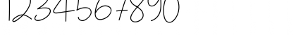 Muiden Castle Script Regular Font