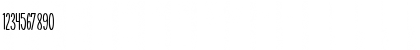 NEW DIVIDE Regular Font NEW DIVIDE Regular Font