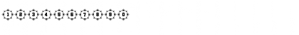 Oriental 1 Regular Font Oriental 1 Regular Font