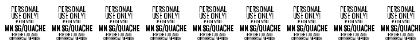 Quache Thin Expanded Font