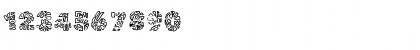 RGSpotch Medium Font