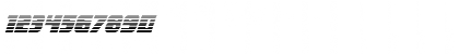 Camp Justice Gradient Italic Italic Font Camp Justice Gradient Italic Italic Font