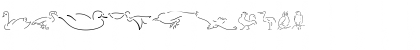 Animal Sketches Regular Font Animal Sketches Regular Font