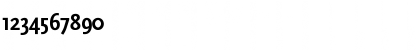 ScalaSans Cond Bold Font
