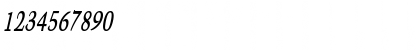 CongoThin BoldItalic Font CongoThin BoldItalic Font