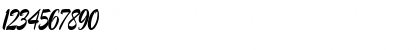 ConiScriptSSK Italic Font