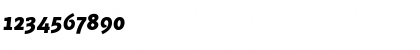PF Muse Black Italic Font
