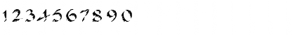 Pine LT Regular Font Pine LT Regular Font