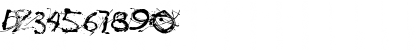 Polla Regular Font