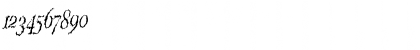 PorcupineRomanCondensed Italic Font PorcupineRomanCondensed Italic Font