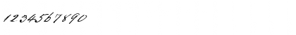 Primo Script Regular Font Primo Script Regular Font