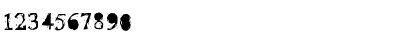 Times New Roman Regular Font Times New Roman Regular Font