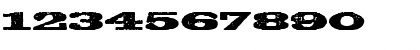 Rawhide WF Regular Font