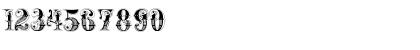 Rough Riders Regular Font Rough Riders Regular Font