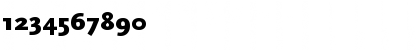ScalaSans Black Font ScalaSans Black Font