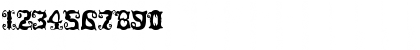 Senorita Regular Font Senorita Regular Font