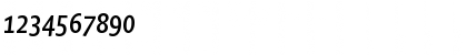 Shaker Regular Font