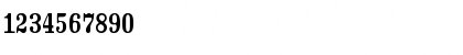 CrashNumberingSerif Regular Font CrashNumberingSerif Regular Font