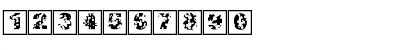 SwissCheeseFrames Regular Font SwissCheeseFrames Regular Font