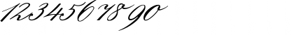 S&#56428in Regular Font