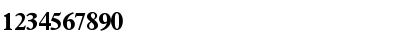 TerminusBlackSSK Regular Font TerminusBlackSSK Regular Font
