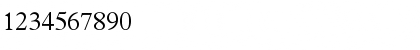 TerminusLightSSK Regular Font TerminusLightSSK Regular Font