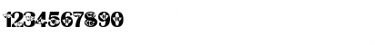 NewFont Regular Font NewFont Regular Font