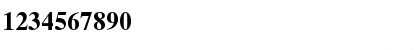 Times CE Bold Font Times CE Bold Font