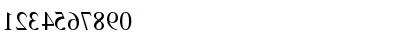 TimesMirror Regular Font TimesMirror Regular Font