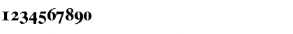 TimesTenOldstyleFigures Bold Font TimesTenOldstyleFigures Bold Font