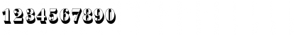 BauerBodDBolSh1 Regular Font BauerBodDBolSh1 Regular Font