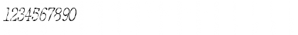 DetectiveCondensed Italic Font DetectiveCondensed Italic Font