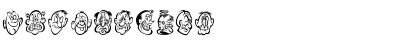 DF Expressions Medium Font DF Expressions Medium Font
