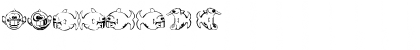 New Regular Font