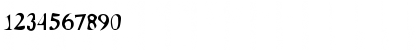 DTCDirtyM21 Regular Font DTCDirtyM21 Regular Font