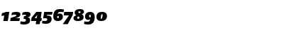 DTLArgoST ItalicHeavy Font DTLArgoST ItalicHeavy Font