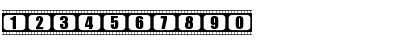 film505 Regular Font