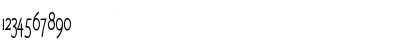 Fletch Thin Normal Font Fletch Thin Normal Font