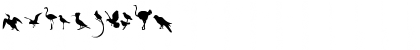 Fonts of Afrika Sample Regular Font
