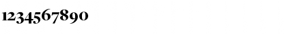 FreightDispBlack Regular Font FreightDispBlack Regular Font
