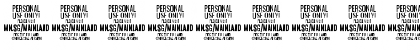 Mainland PERSONAL Thin Font