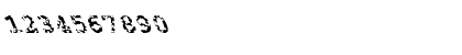 FZ BASIC 54 HOLEY LEFTY Normal Font