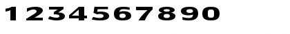 FZ BASIC 55 EX Normal Font