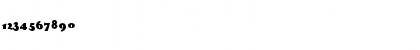 FZ UNIQUE 41 Normal Font FZ UNIQUE 41 Normal Font