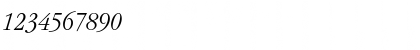 GaramItcTEELigCon Italic Italic Font GaramItcTEELigCon Italic Italic Font