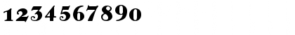 Greko Bold Font Greko Bold Font